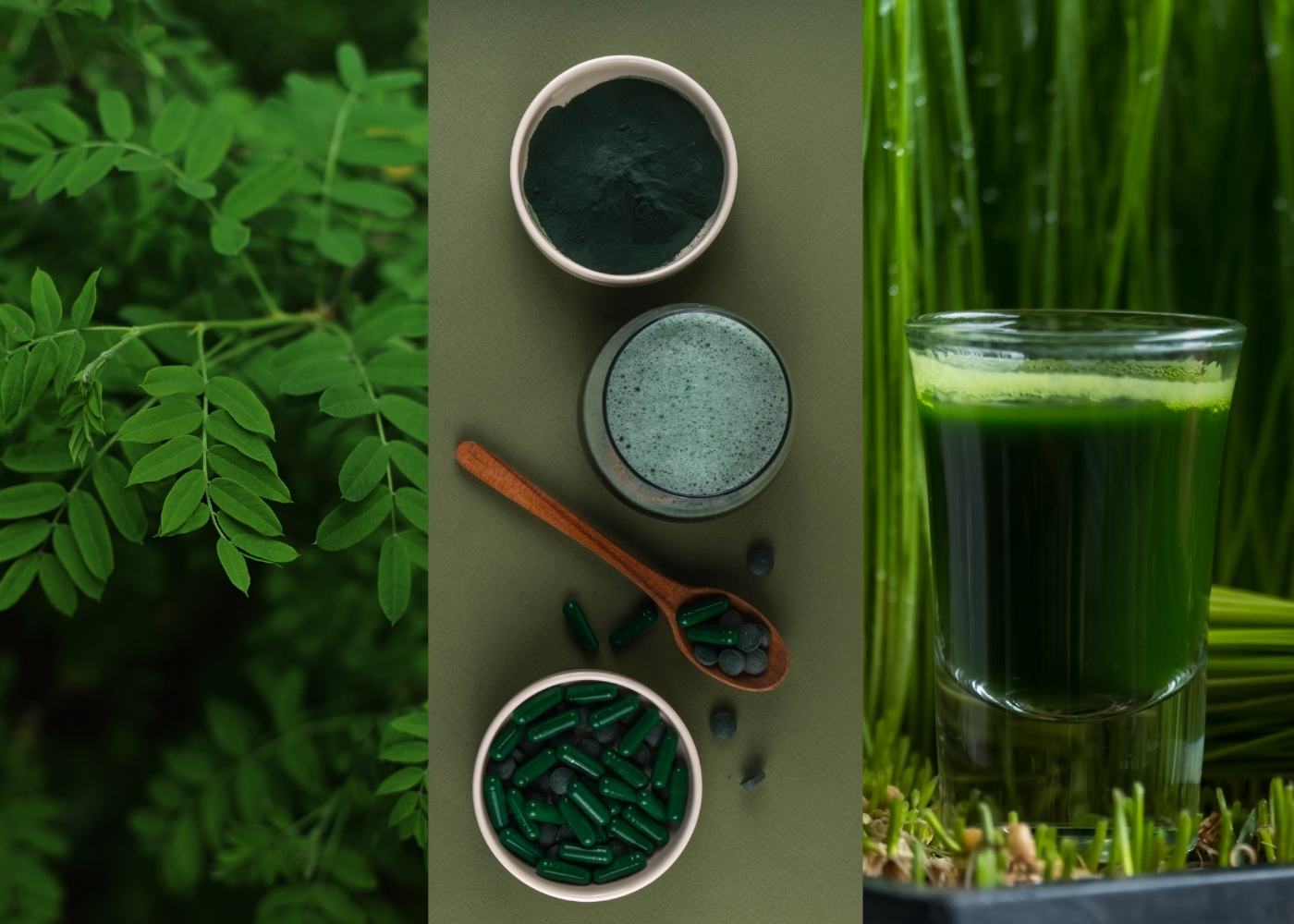 Moringa vs Spirulina vs Wheatgrass: Which Is Best?