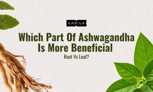 Which Part Of Ashwagandha Is More Beneficial: Root Vs Leaf?