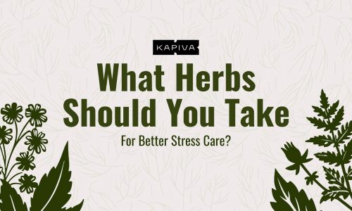 What Herbs Should You Take For Better Stress Care?